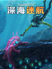 深圳哪里的衣服便宜